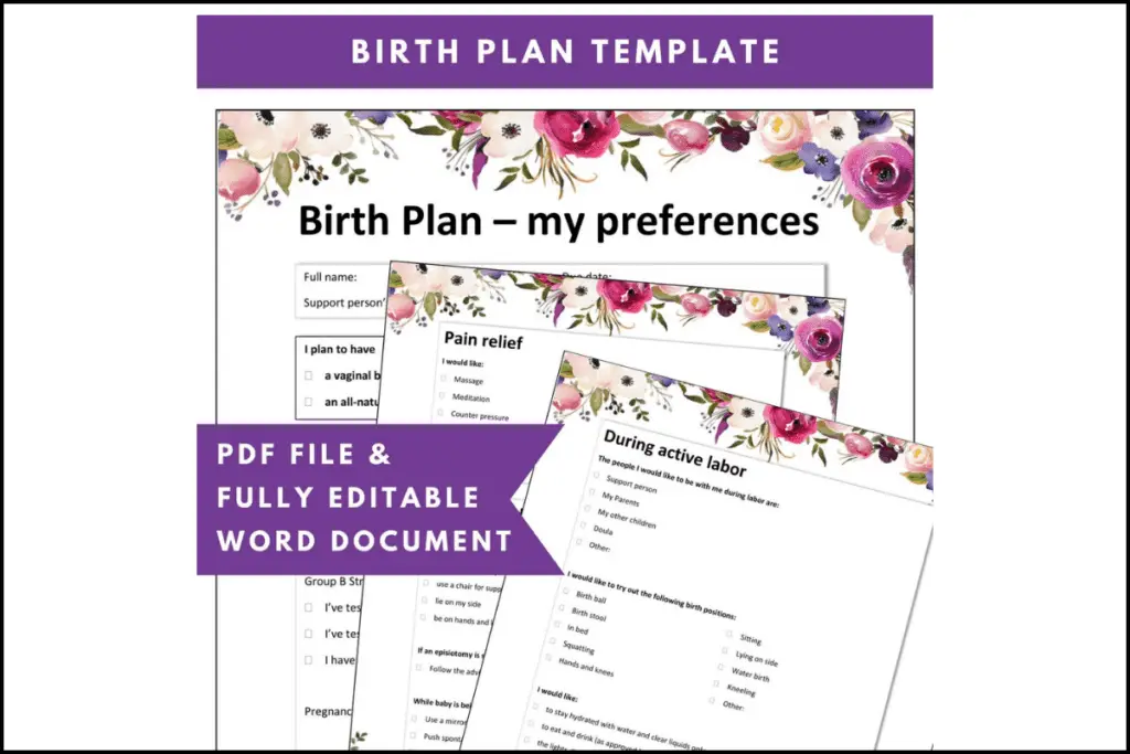 Birth Plan Template PDF file and Microsoft Word