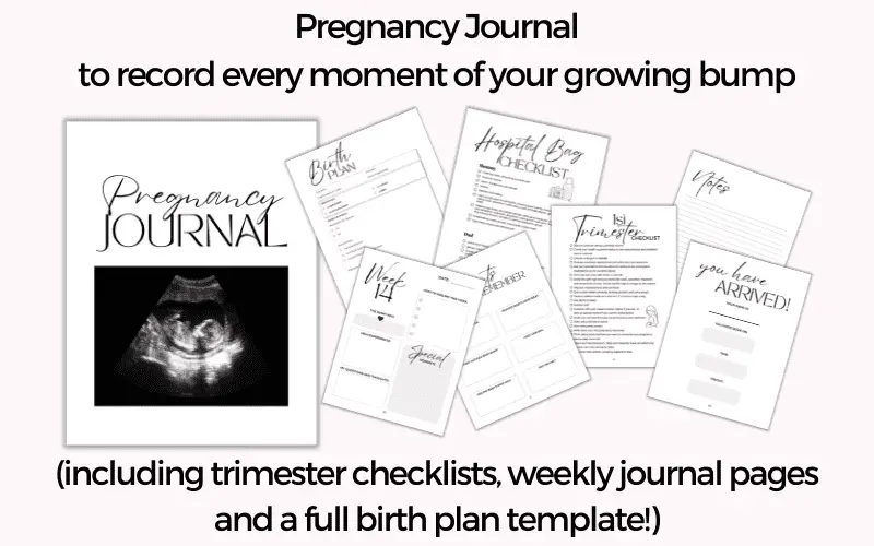 pregnancy journal ad