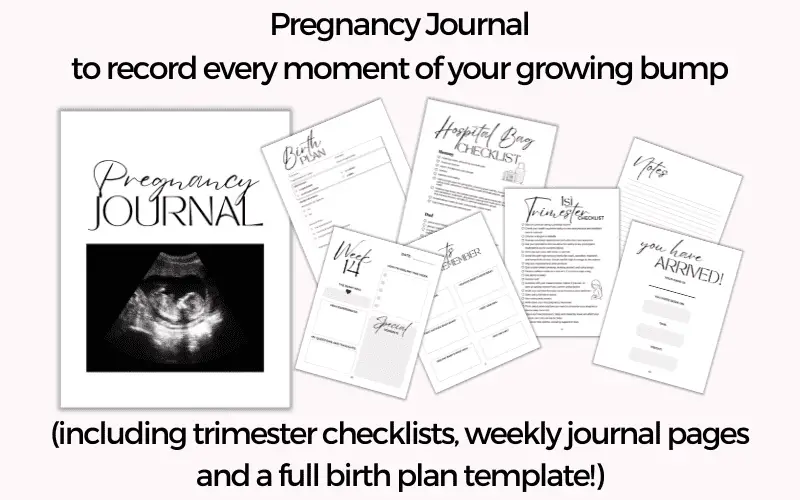 Pregnancy Journal ad